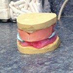 We are done for the day! We will be sending this off to Eliason Dental Lab. Thank you, Julie Skelton, for all your help; Eliason Dental Lab has offered to do this work for us at no charge. They can be reached at Eliason Dental Lab, 190 Riverside St., Unit 6B. Portland, ME 04103 (207) 774-7881 http://www.eliasonlab.com